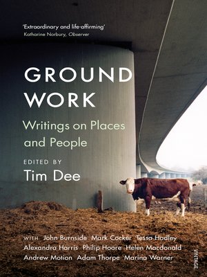 cover image of Ground Work